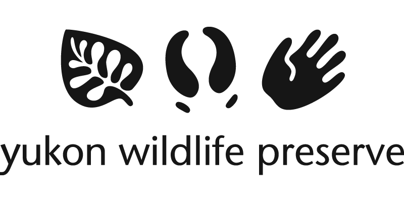 logo-yukon-wildlife-preserve